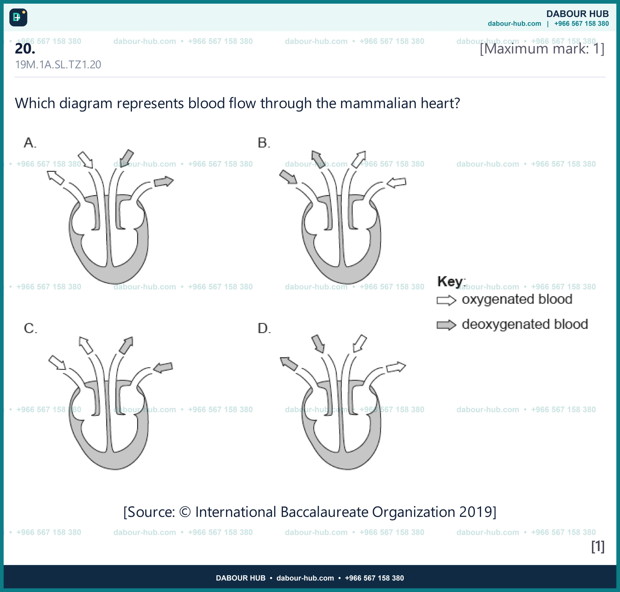 Dr Dabour Hub Science Diagram and Course Material