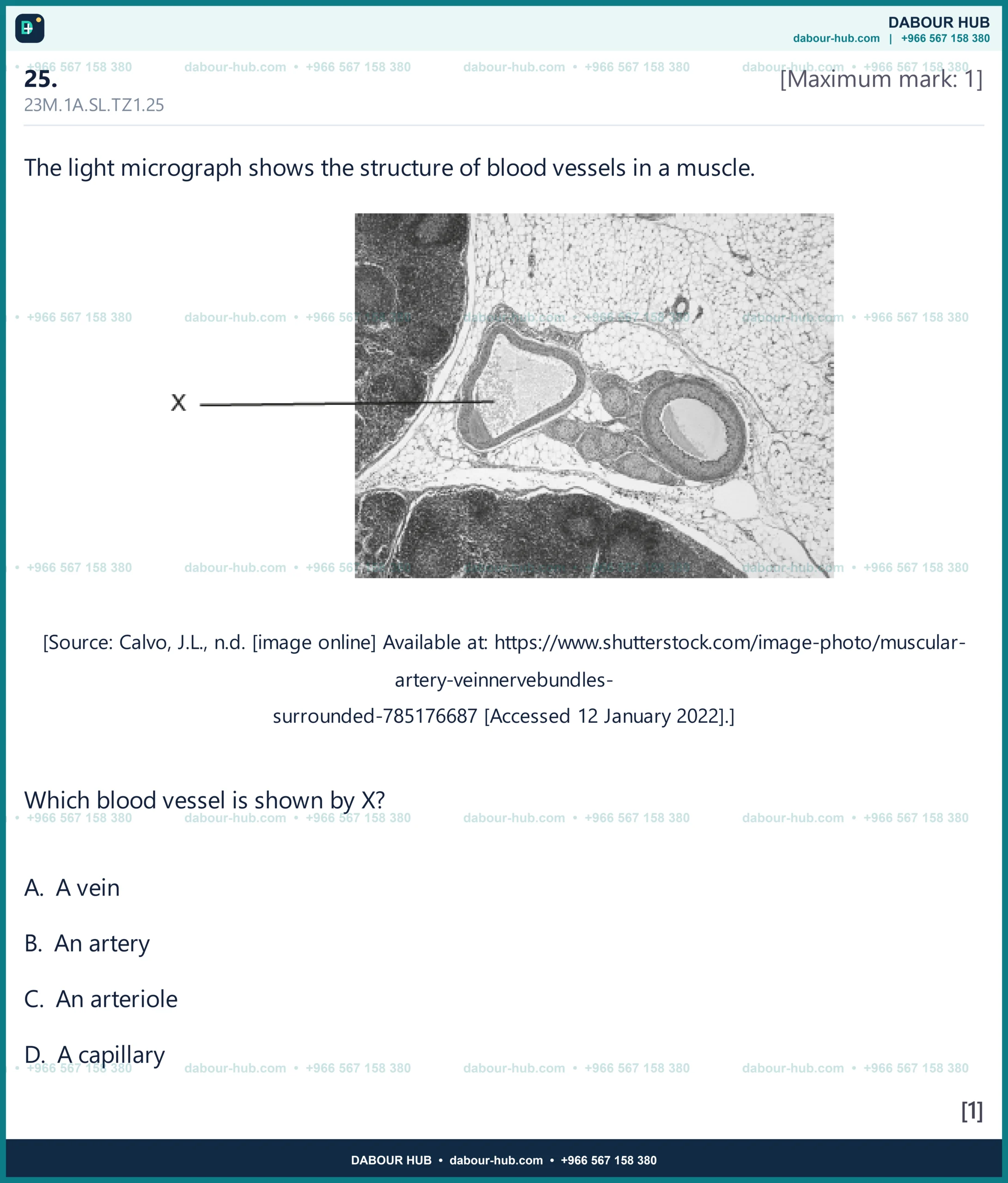 Dr Dabour Hub Science Diagram and Course Material