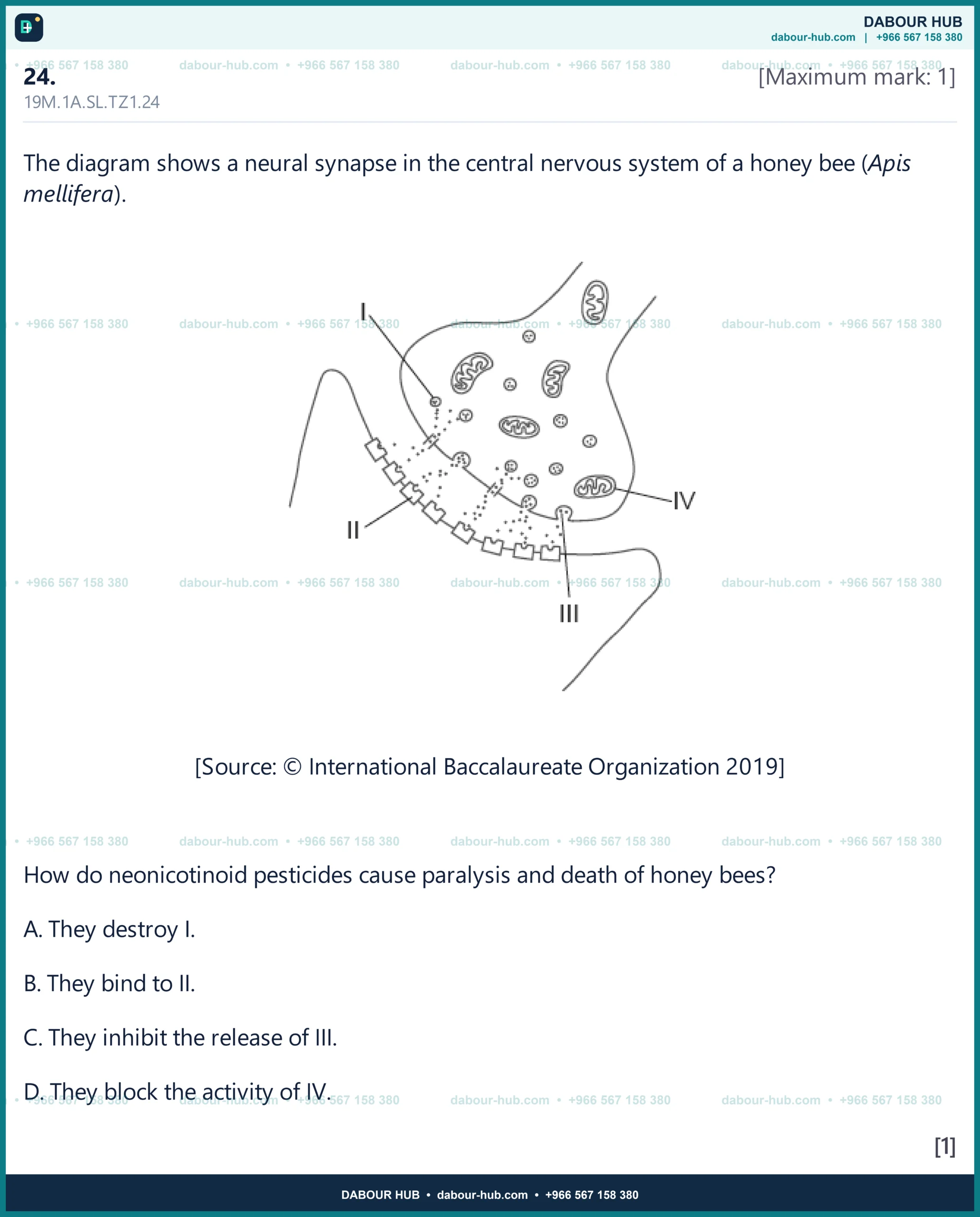 Dr Dabour Hub Science Diagram and Course Material