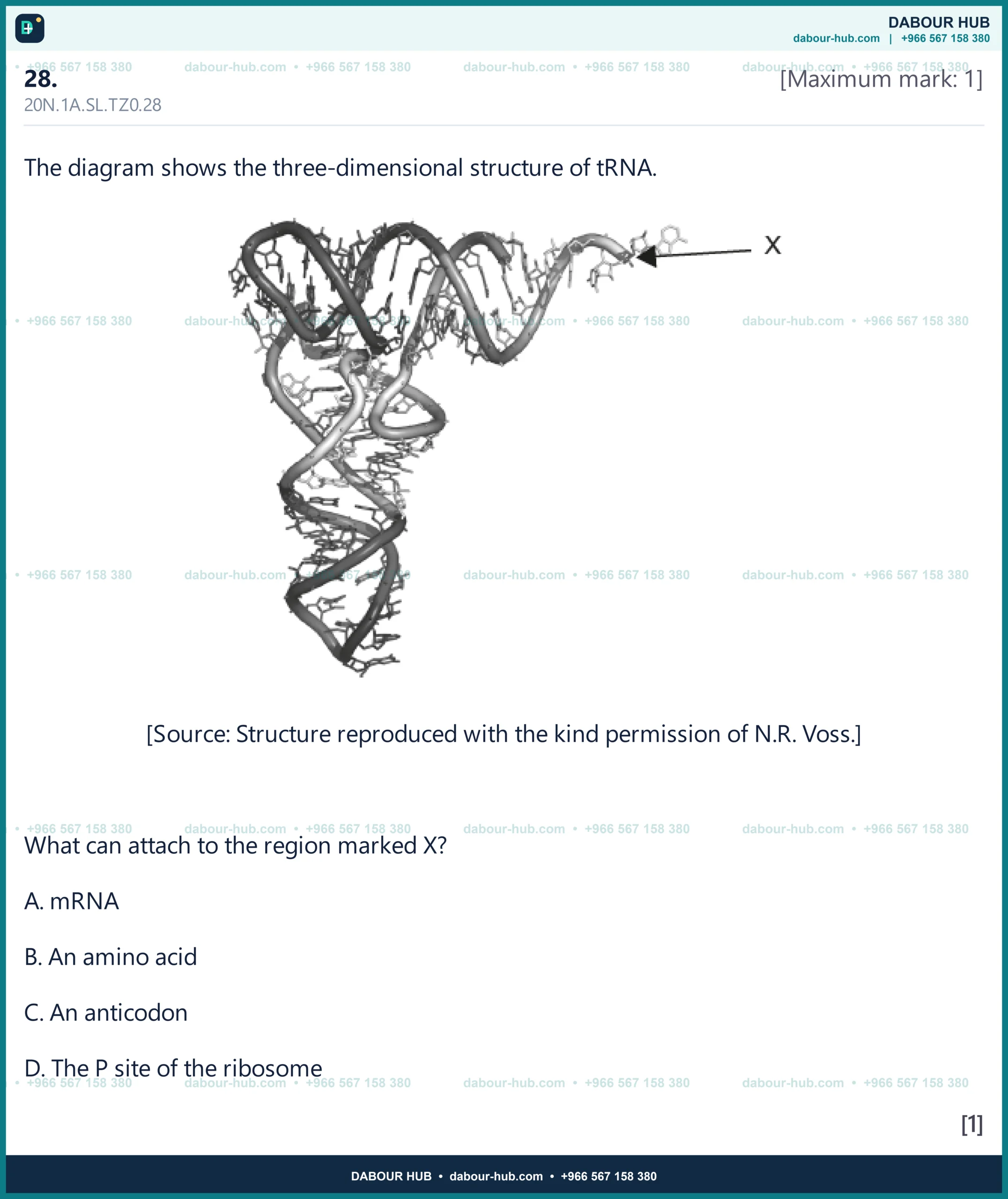 Dr Dabour Hub Science Diagram and Course Material