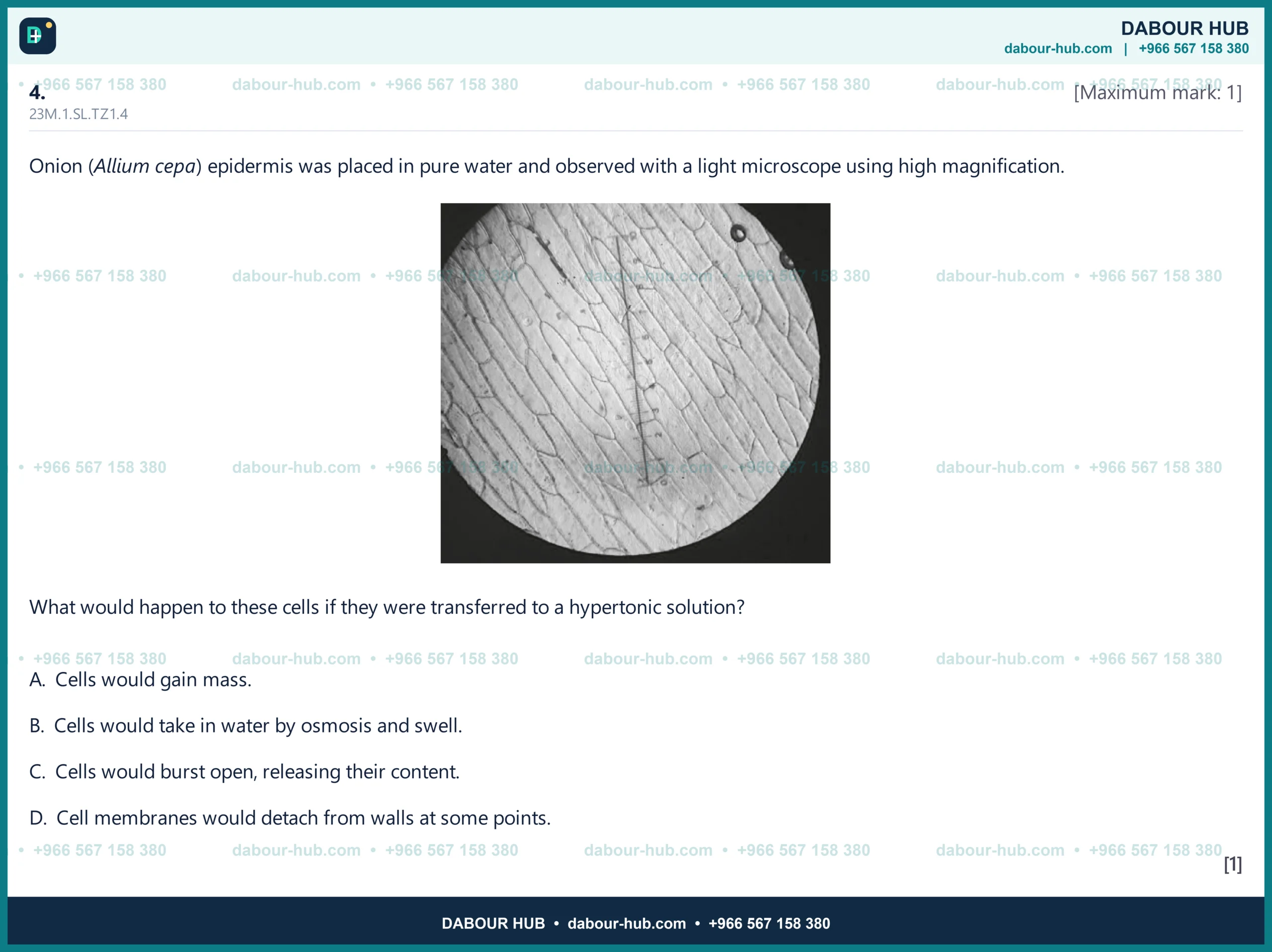 Dr Dabour Hub Science Diagram and Course Material