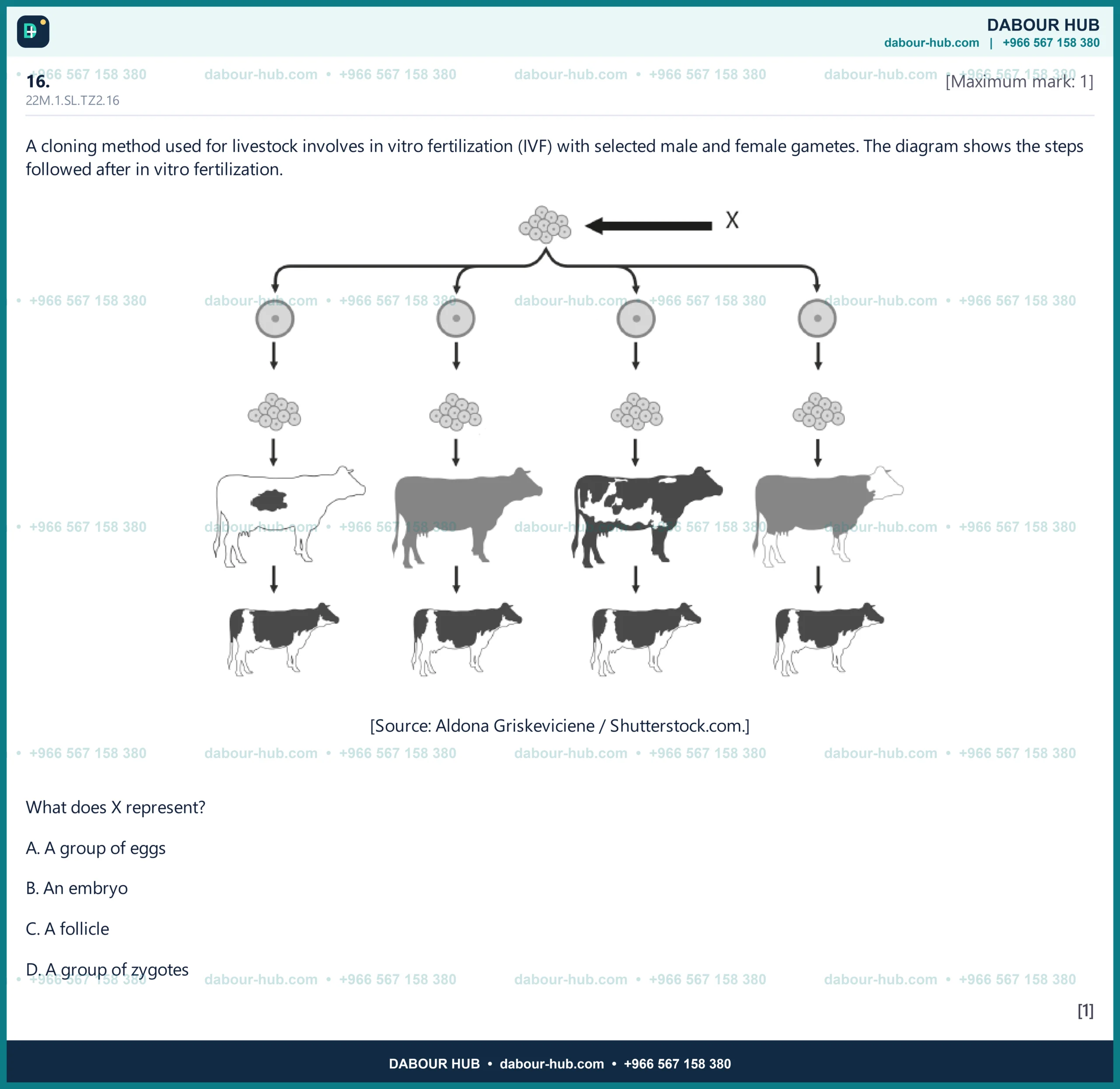 Dr Dabour Hub Science Diagram and Course Material
