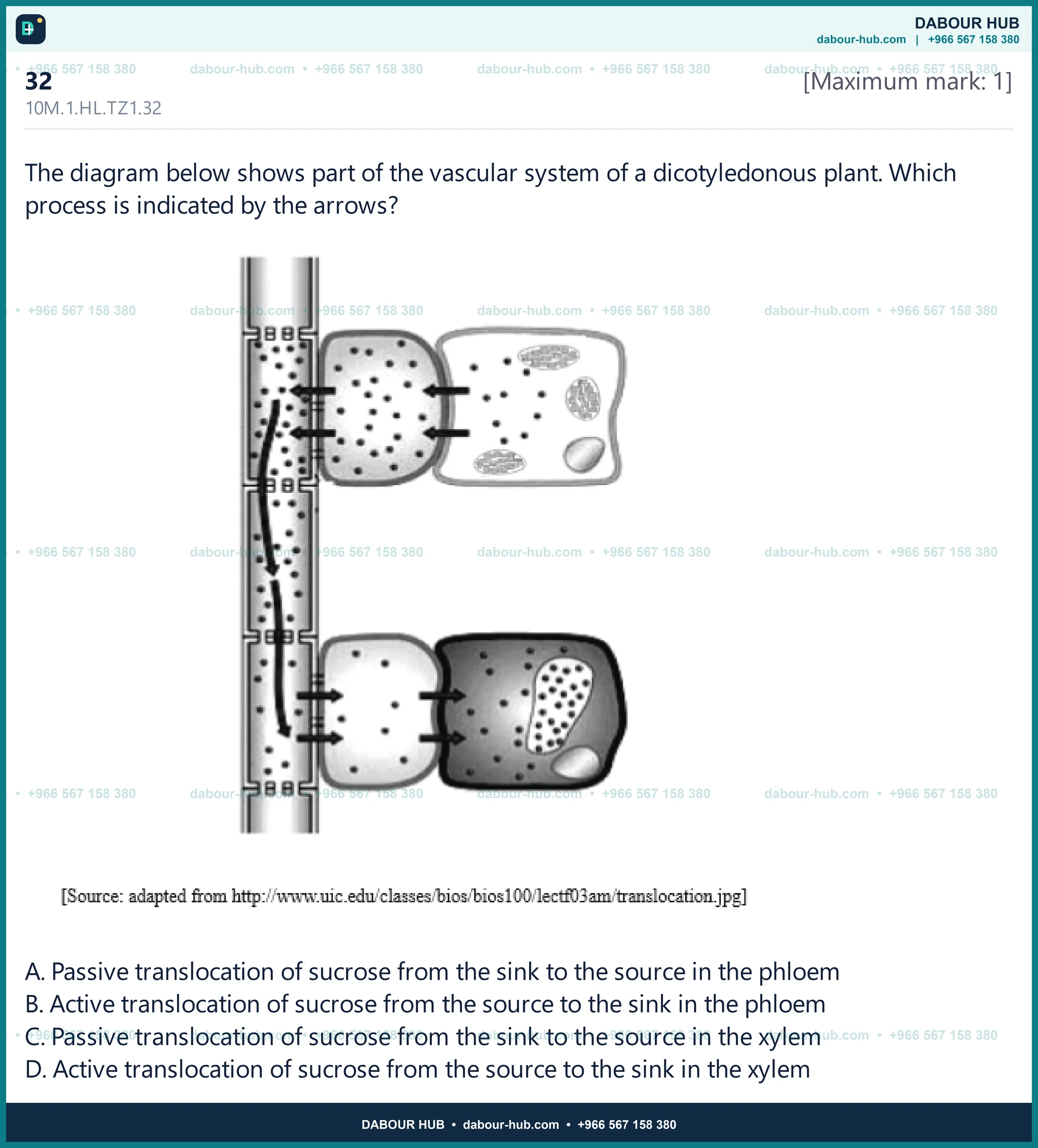 Dr Dabour Hub Science Diagram and Course Material