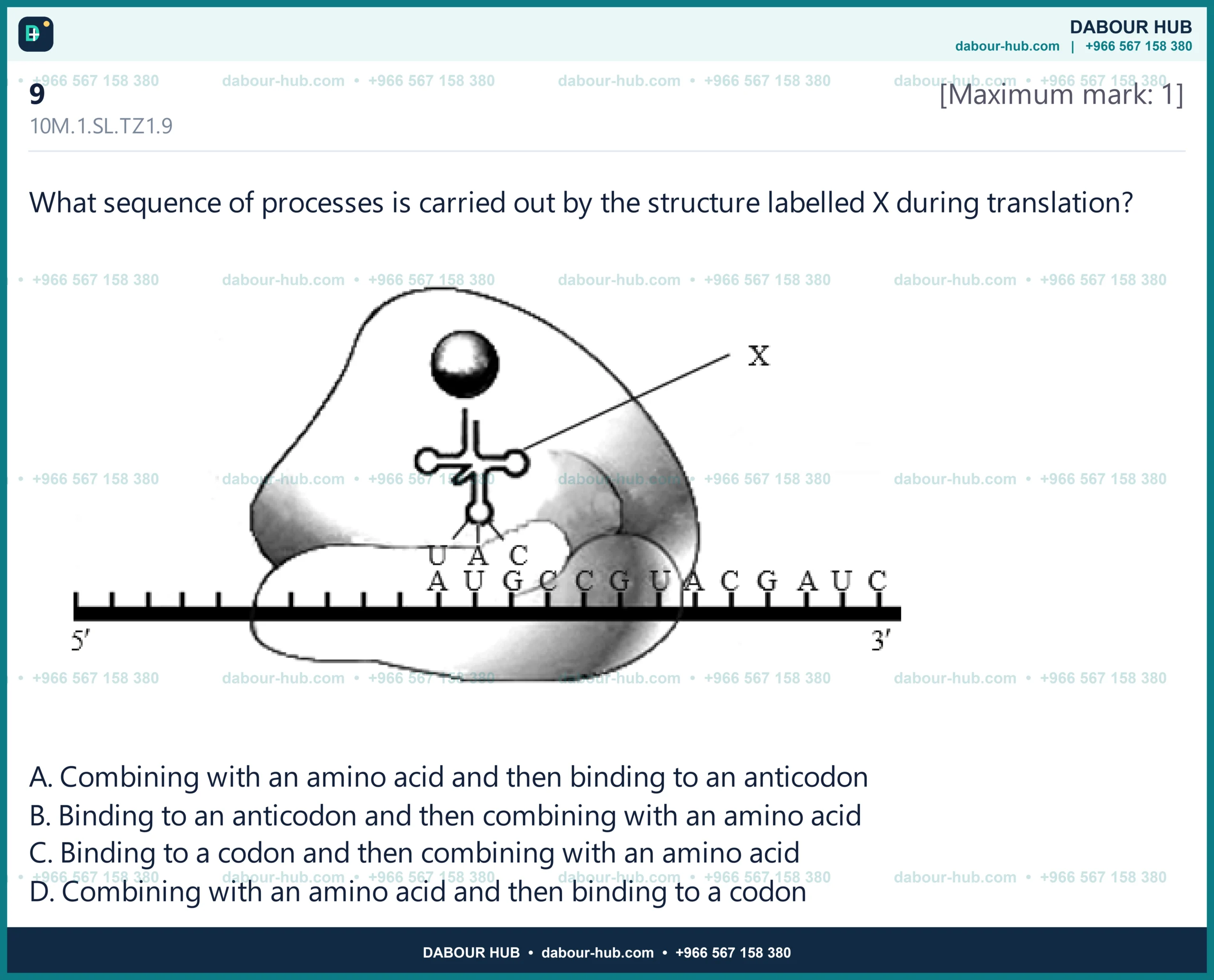 Dr Dabour Hub Science Diagram and Course Material