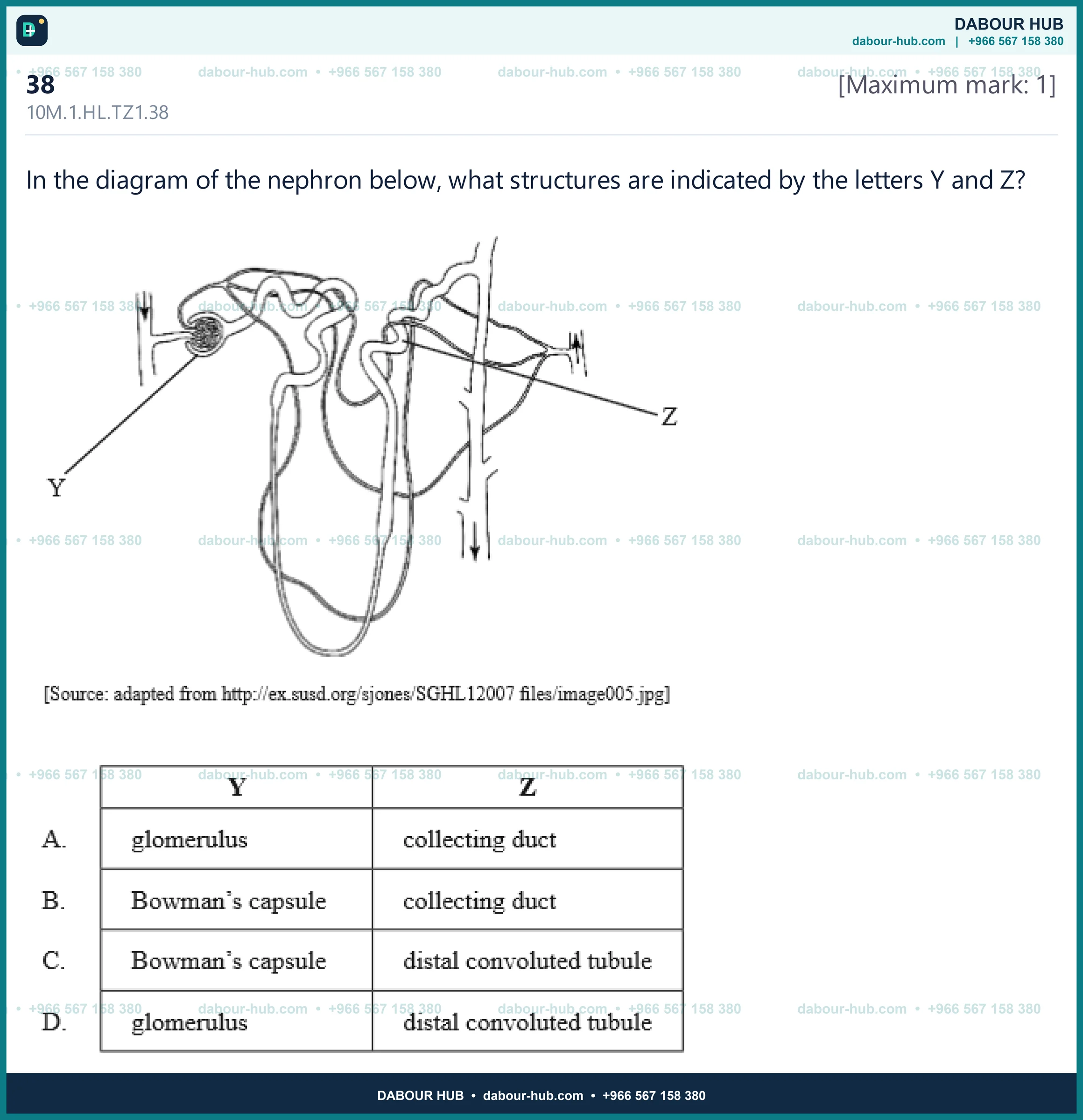 Dr Dabour Hub Science Diagram and Course Material