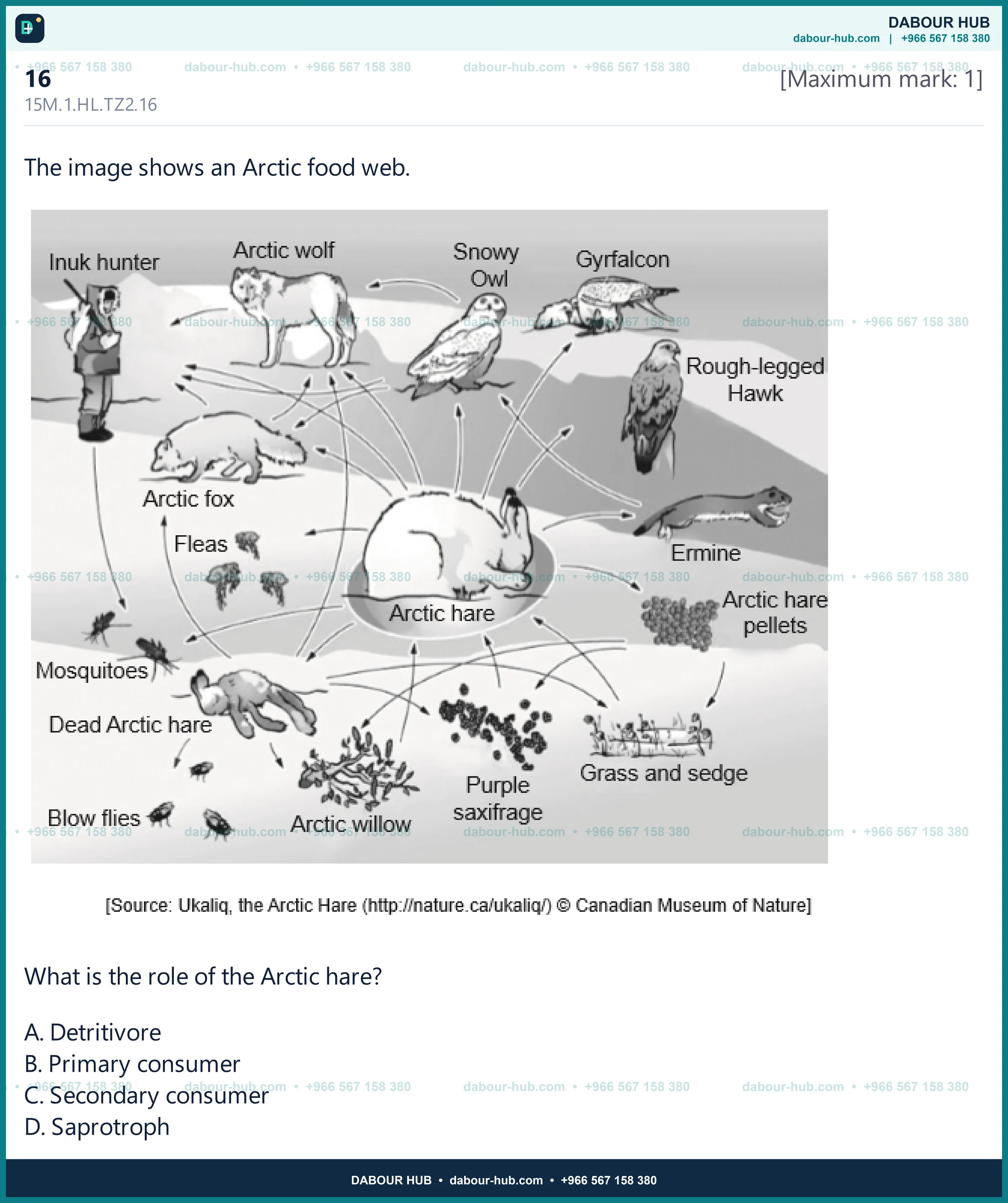 Dr Dabour Hub Science Diagram and Course Material