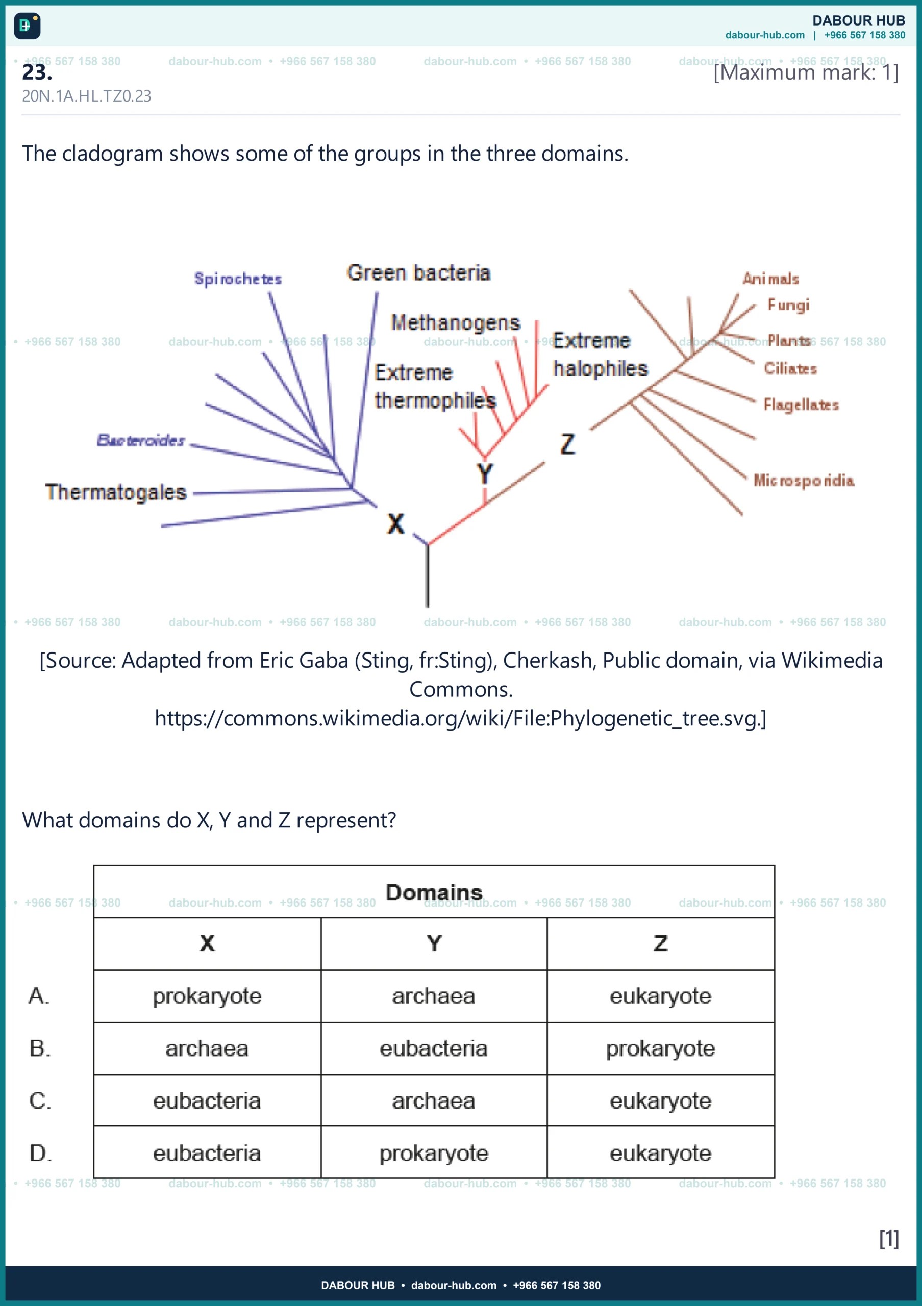 Dr Dabour Hub Science Diagram and Course Material