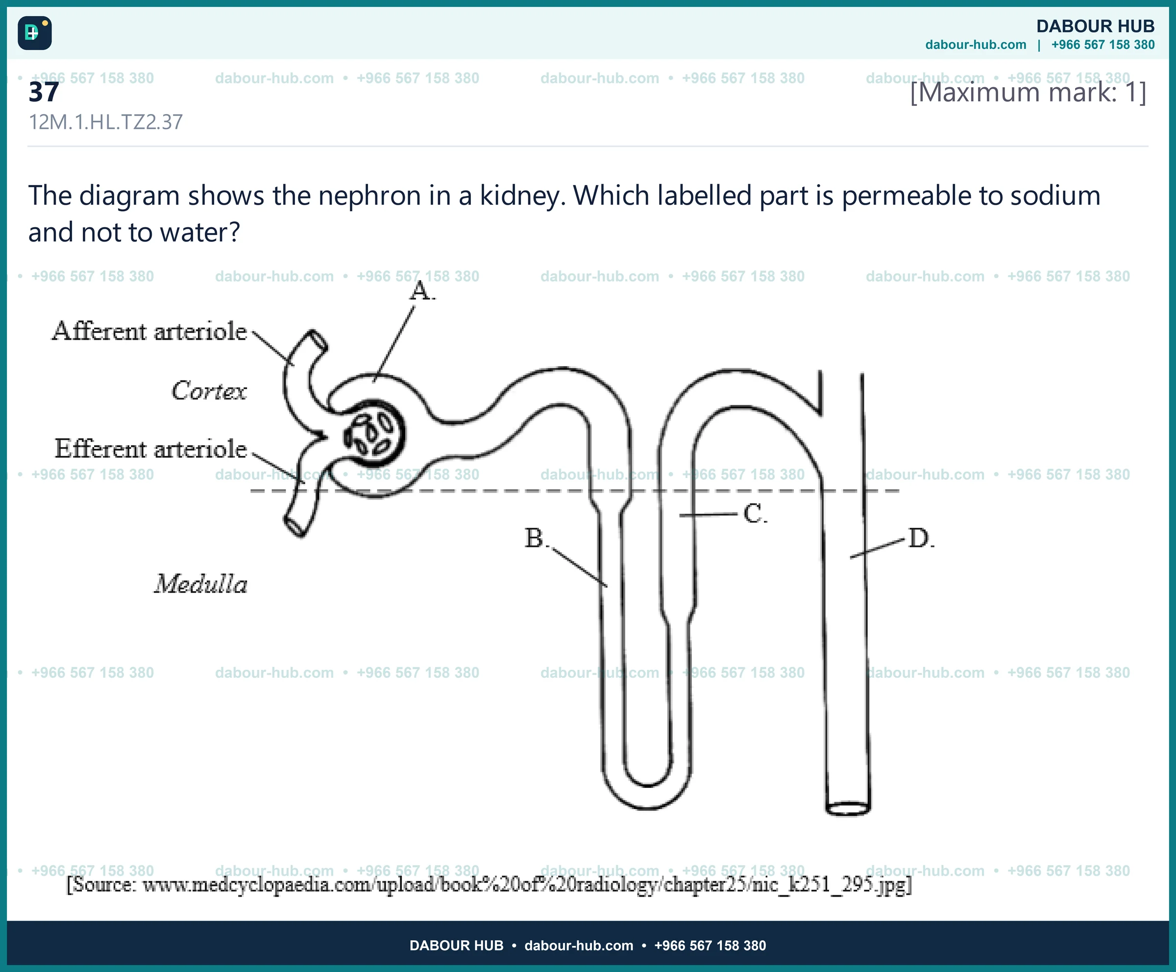Dr Dabour Hub Science Diagram and Course Material