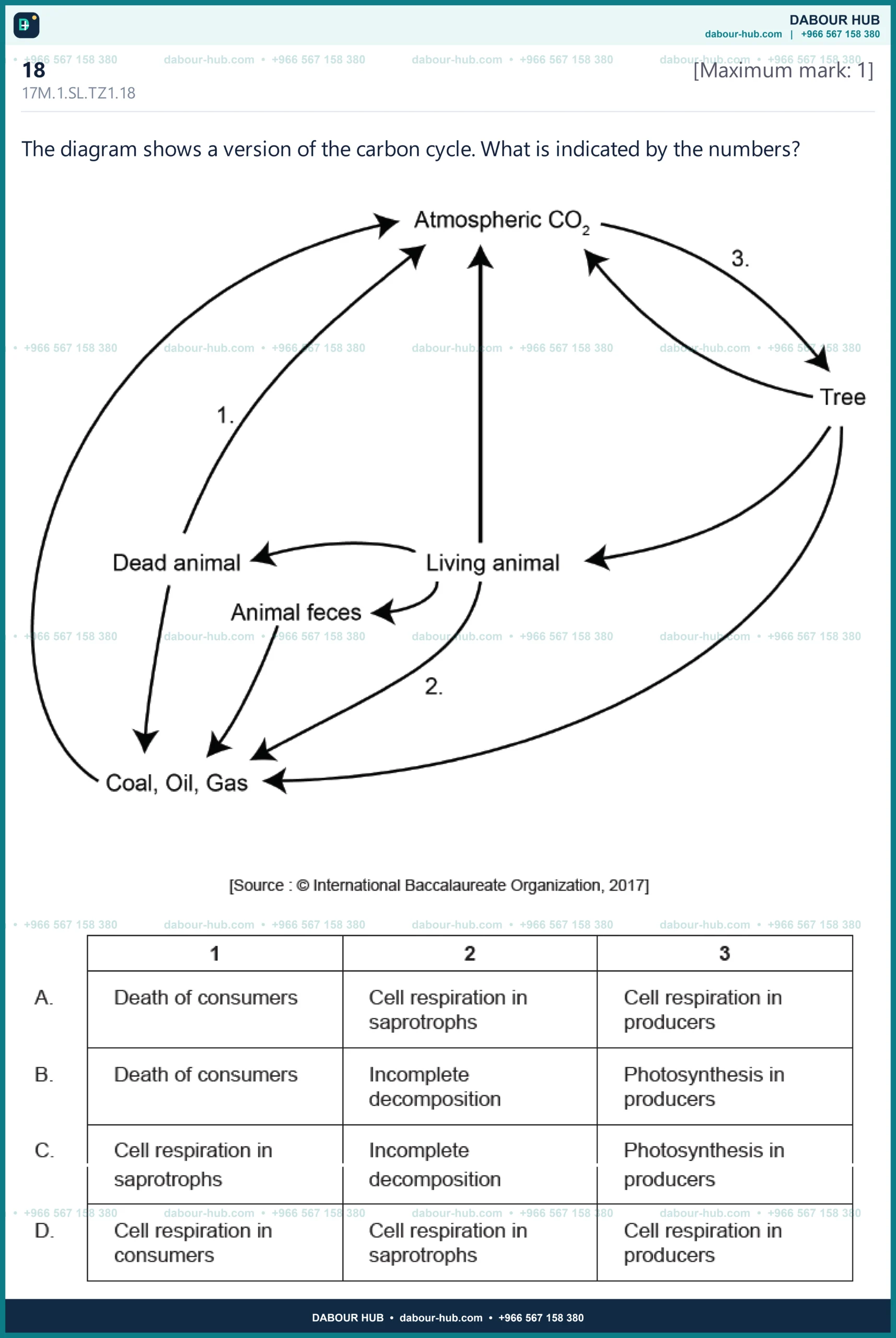 Dr Dabour Hub Science Diagram and Course Material