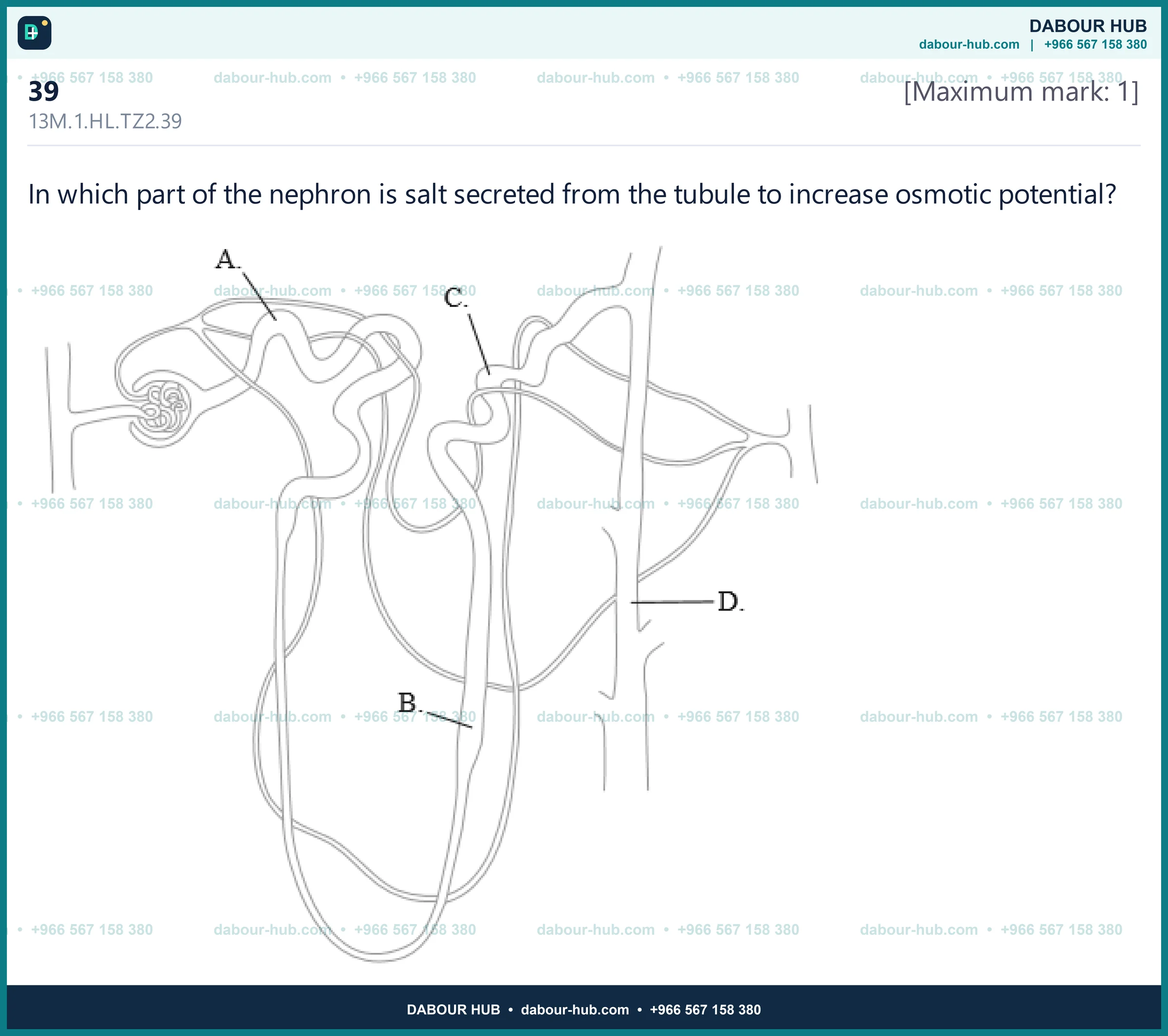 Dr Dabour Hub Science Diagram and Course Material