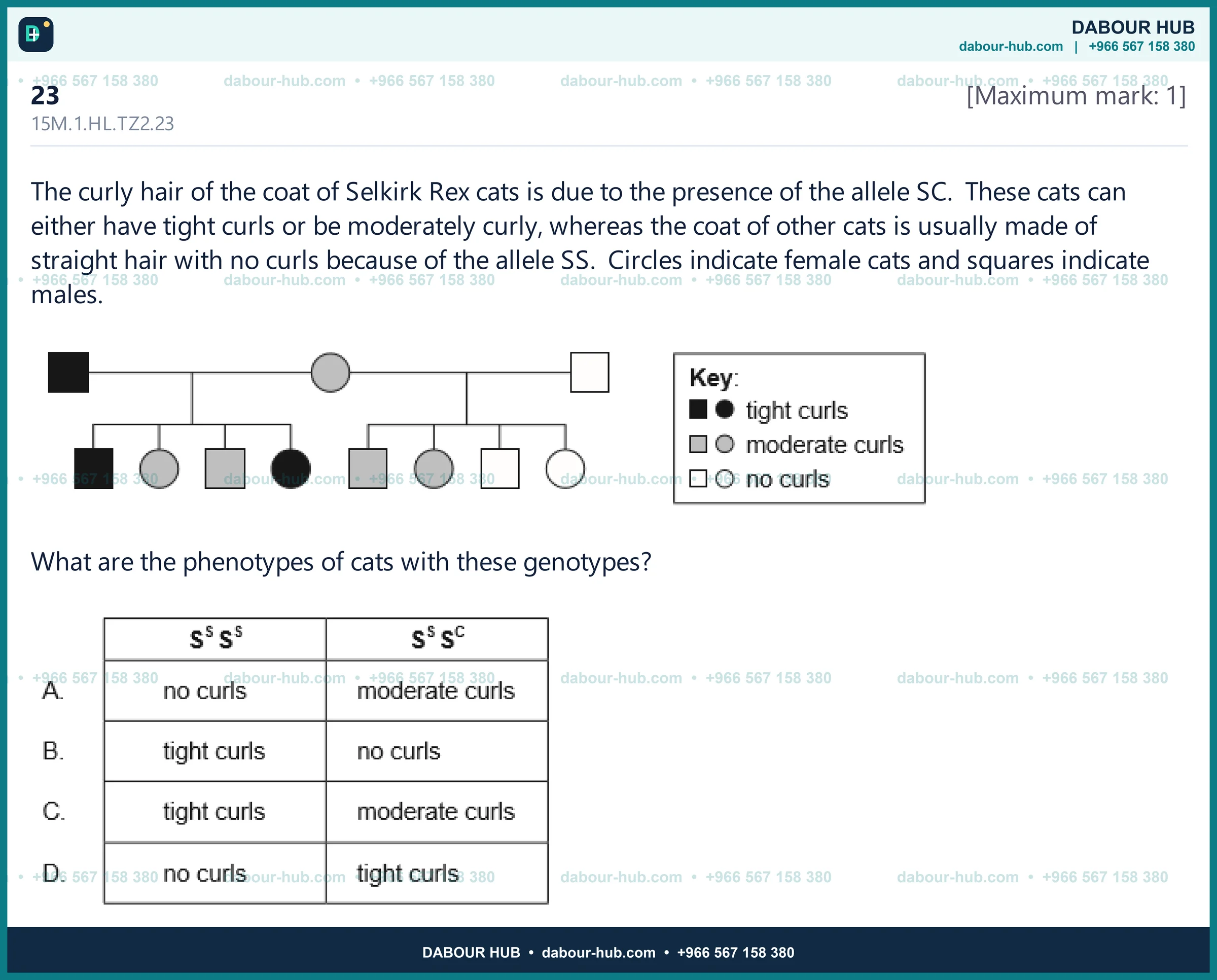 Dr Dabour Hub Science Diagram and Course Material