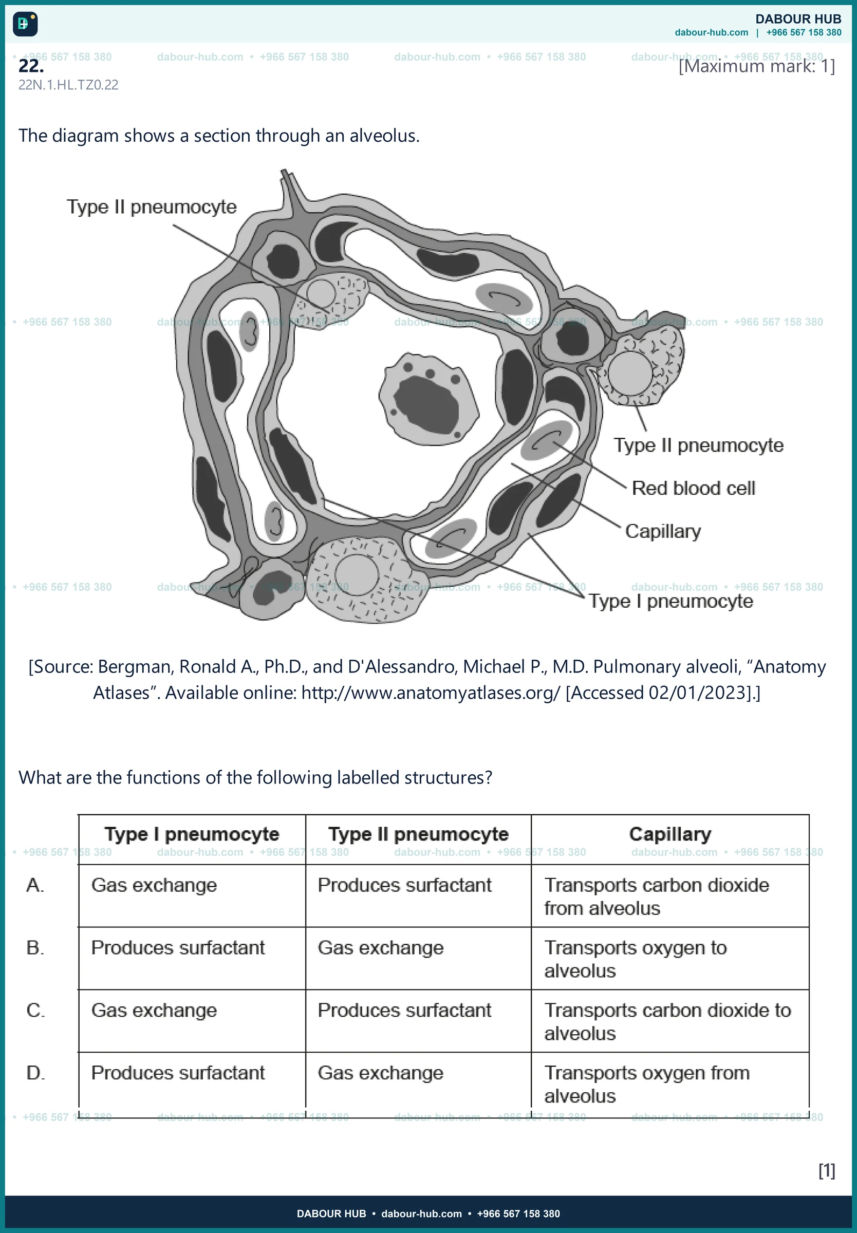 Dr Dabour Hub Science Diagram and Course Material