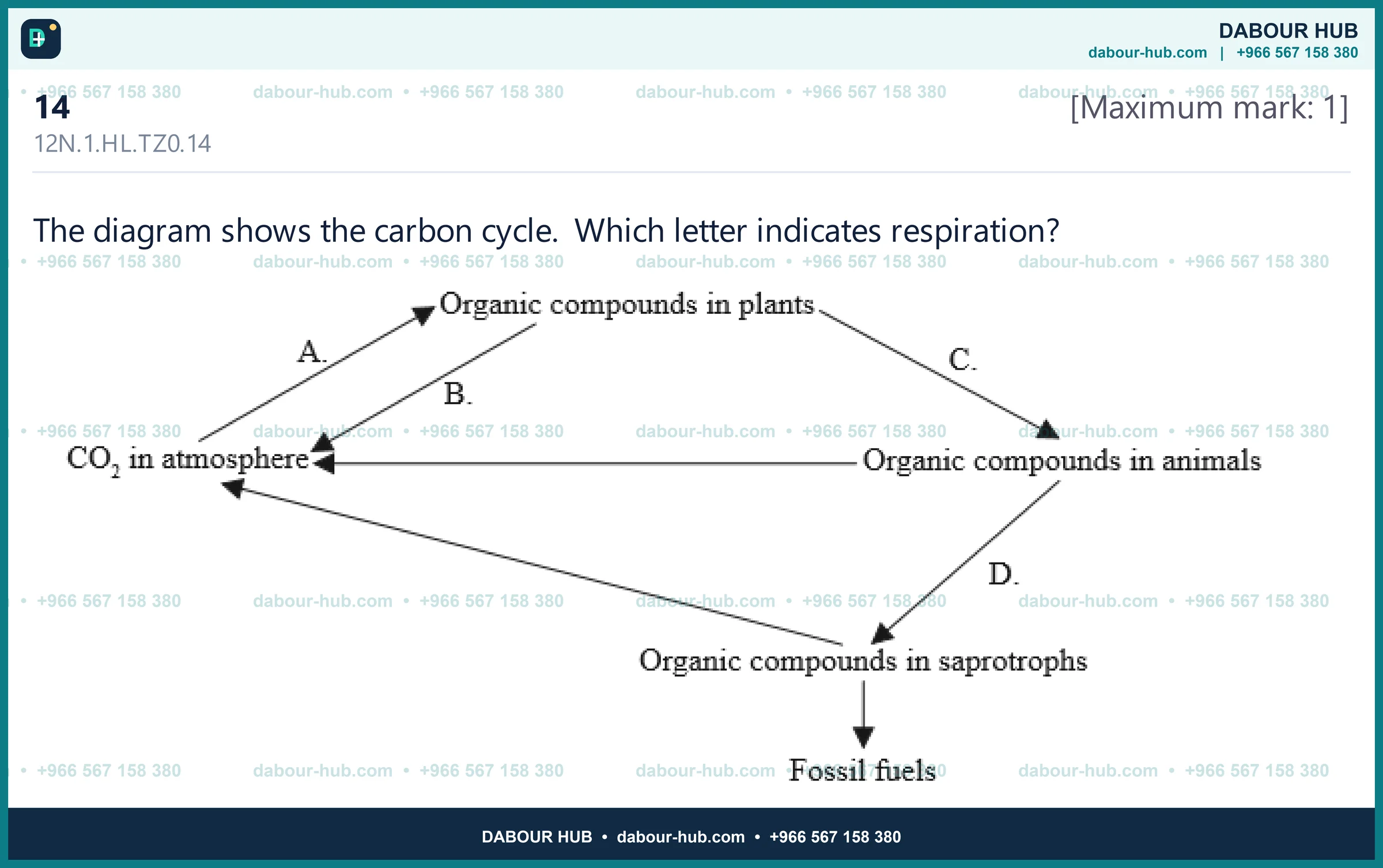 Dr Dabour Hub Science Diagram and Course Material