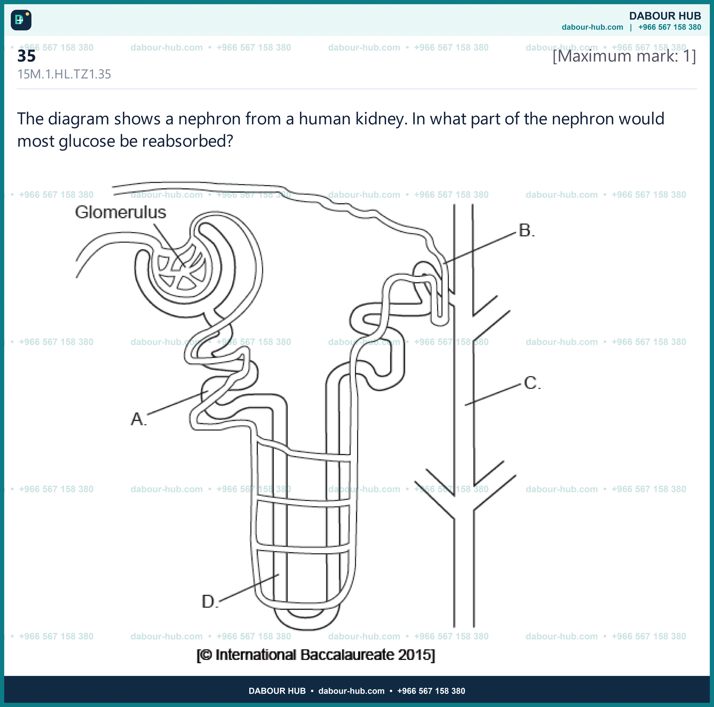 Dr Dabour Hub Science Diagram and Course Material