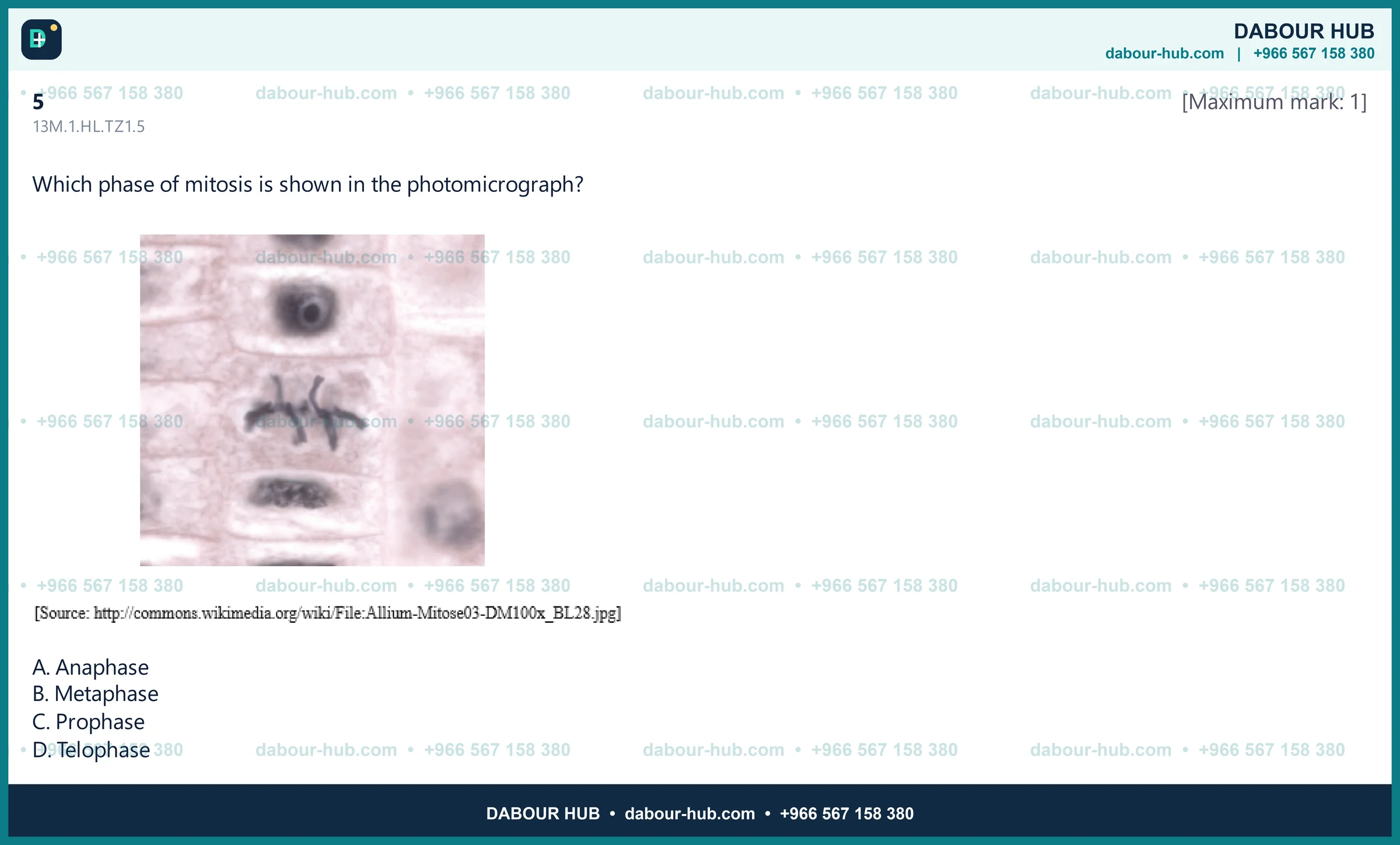 Dr Dabour Hub Science Diagram and Course Material