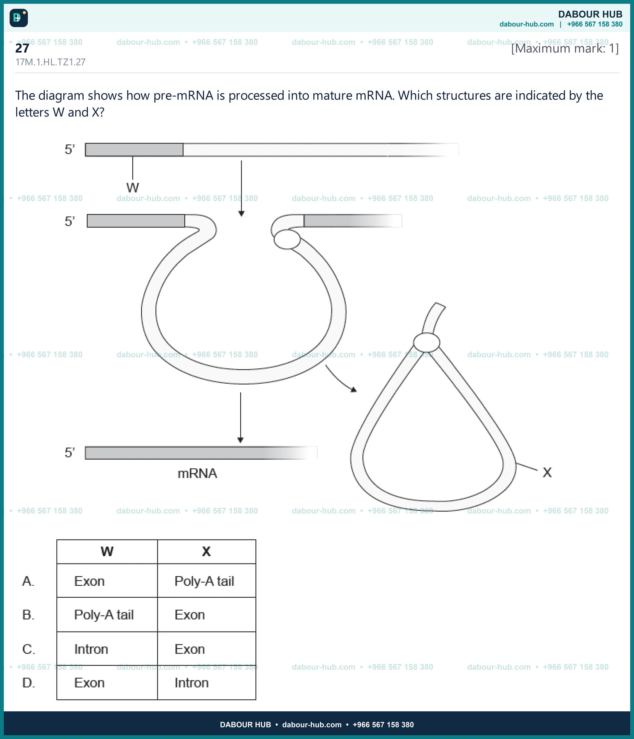 Dr Dabour Hub Science Diagram and Course Material