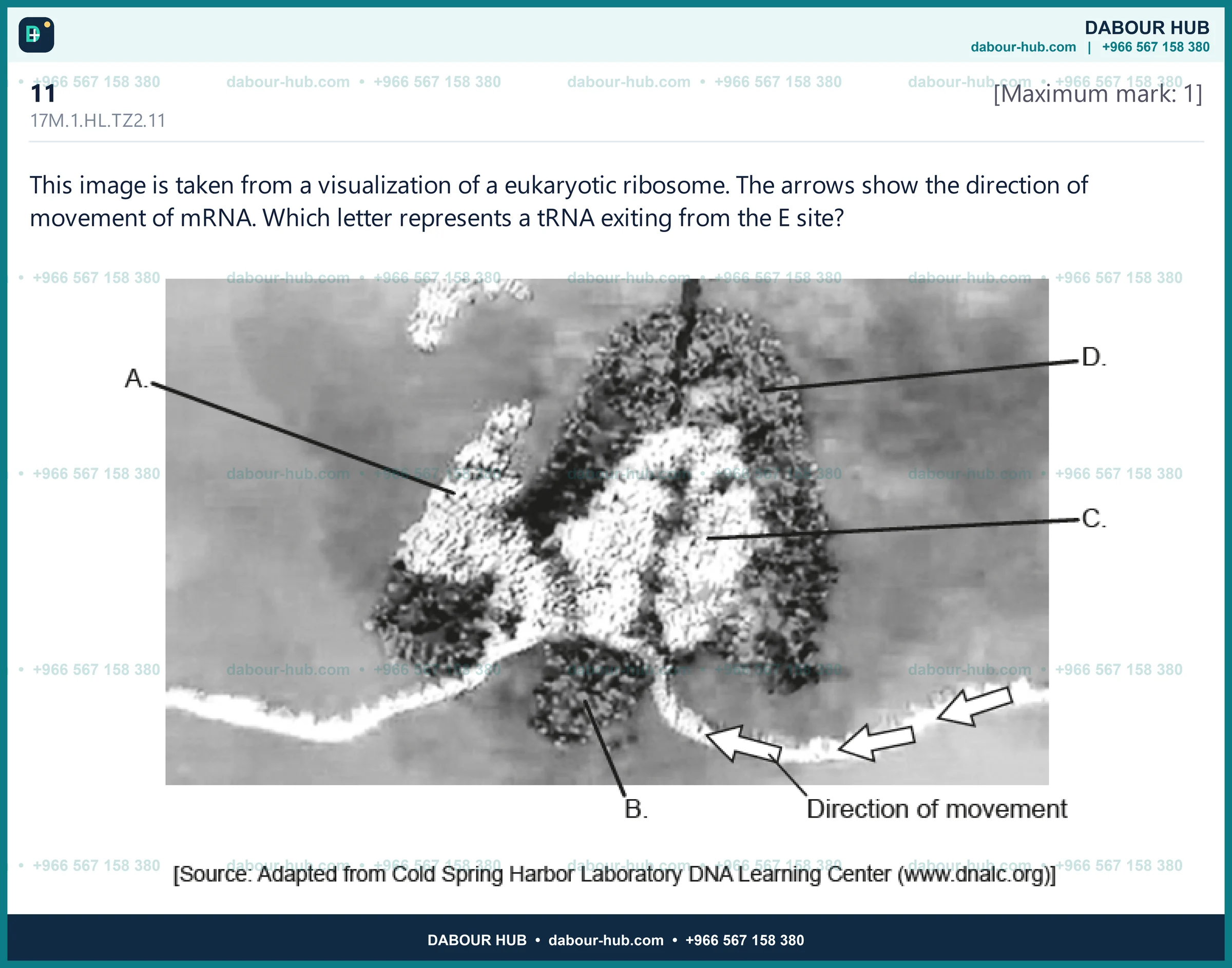 Dr Dabour Hub Science Diagram and Course Material