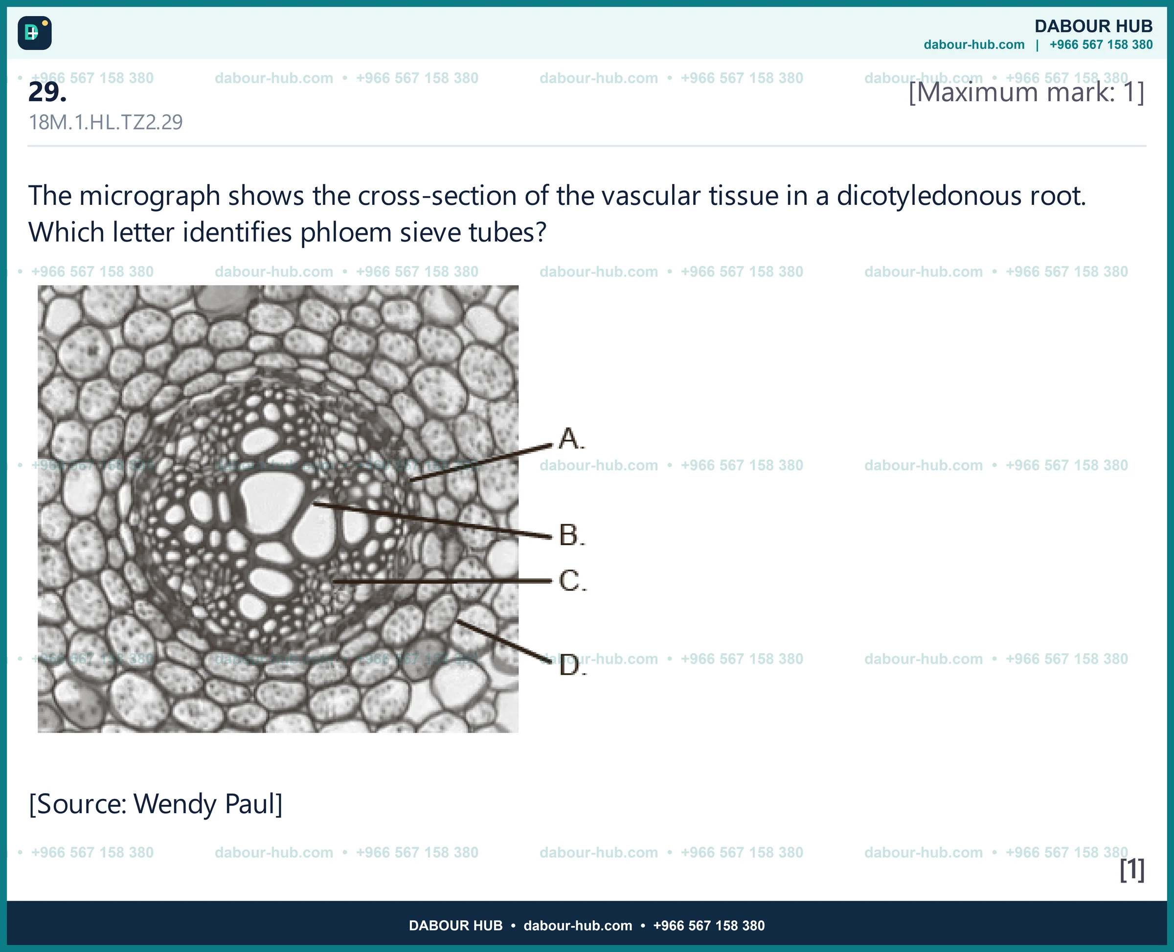 Dr Dabour Hub Science Diagram and Course Material