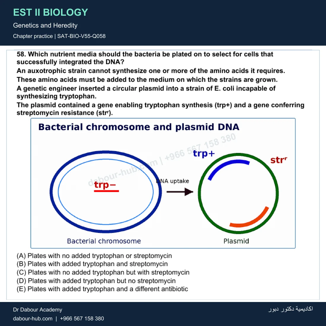 EST II Biology — Genetics and Heredity — practice question 10 (SAT-BIO-V55-Q058)