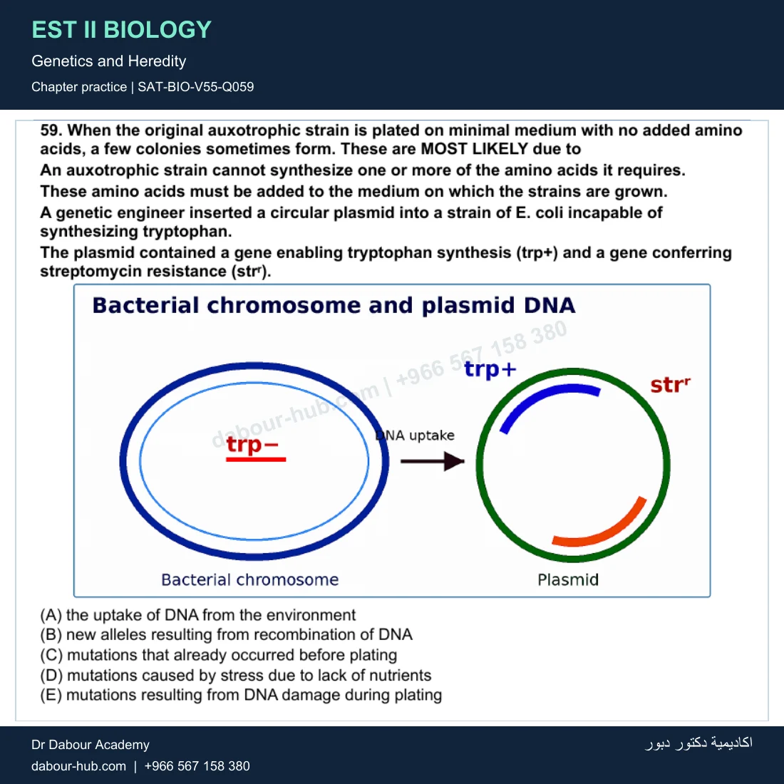 EST II Biology — Genetics and Heredity — practice question 11 (SAT-BIO-V55-Q059)