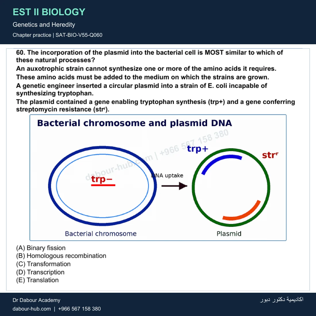 EST II Biology — Genetics and Heredity — practice question 12 (SAT-BIO-V55-Q060)