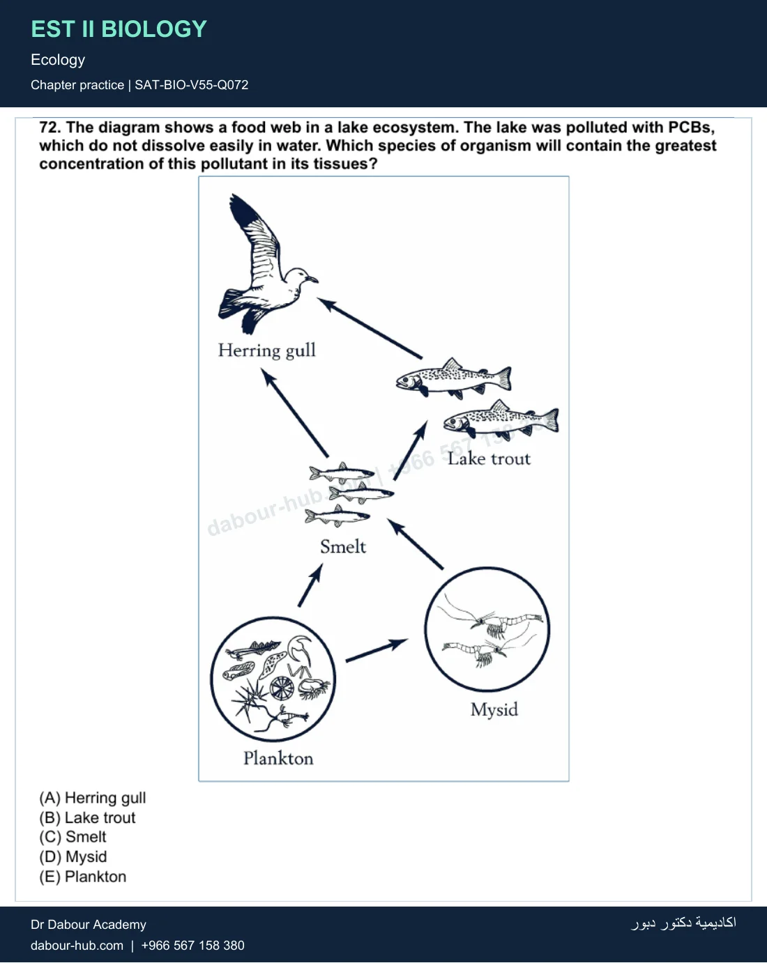 EST II Biology — Ecology — practice question 20 (SAT-BIO-V55-Q072)