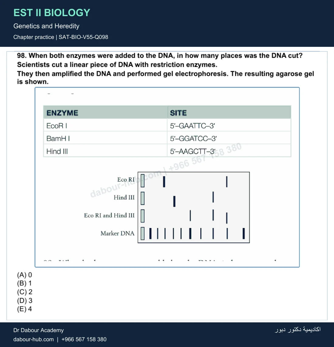 EST II Biology — Genetics and Heredity — practice question 21 (SAT-BIO-V55-Q098)
