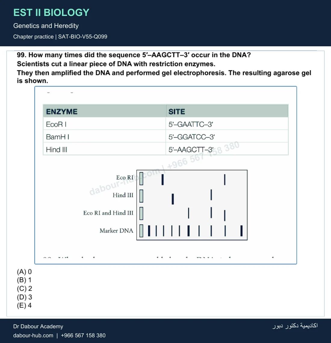EST II Biology — Genetics and Heredity — practice question 22 (SAT-BIO-V55-Q099)