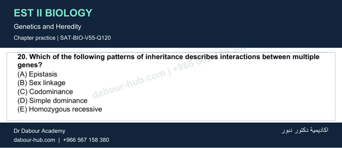 EST II Biology — Genetics and Heredity — practice question 28 (SAT-BIO-V55-Q120)