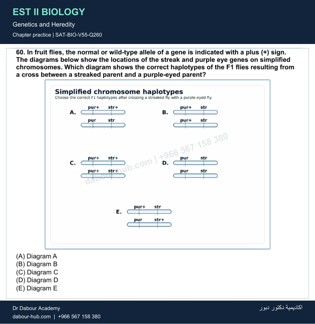 EST II Biology — Genetics and Heredity — practice question 66 (SAT-BIO-V55-Q260)