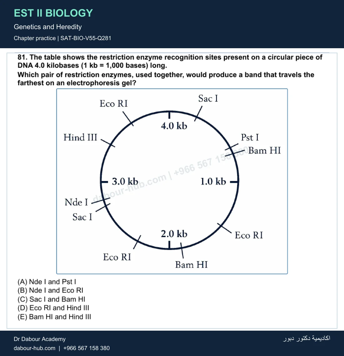 EST II Biology — Genetics and Heredity — practice question 67 (SAT-BIO-V55-Q281)