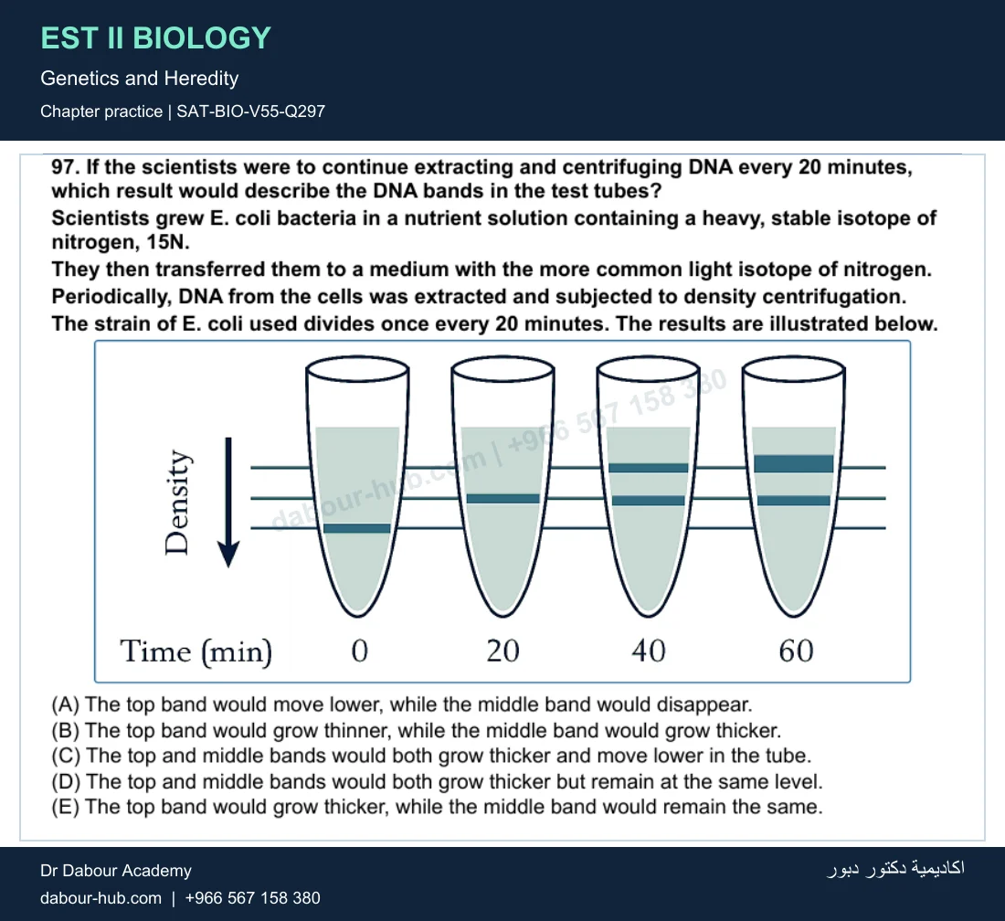 EST II Biology — Genetics and Heredity — practice question 74 (SAT-BIO-V55-Q297)