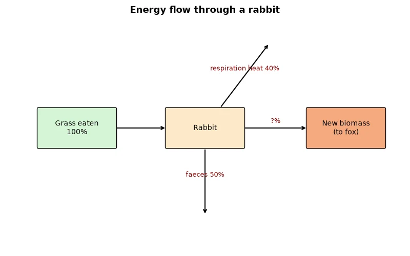 Dr Dabour Hub Academy - figure 1