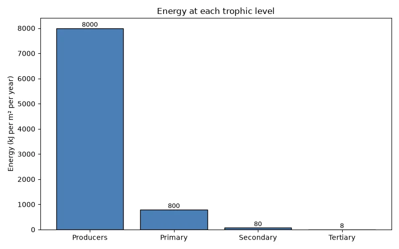 Dr Dabour Hub Academy - figure 1