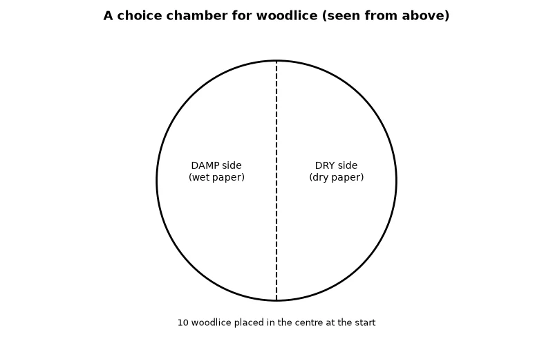 Dr Dabour Hub Academy - figure 7
