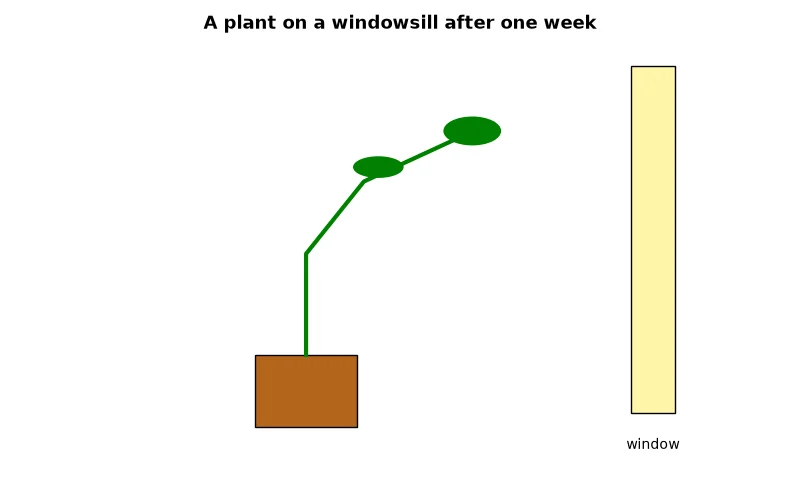 Dr Dabour Hub Academy - figure 12