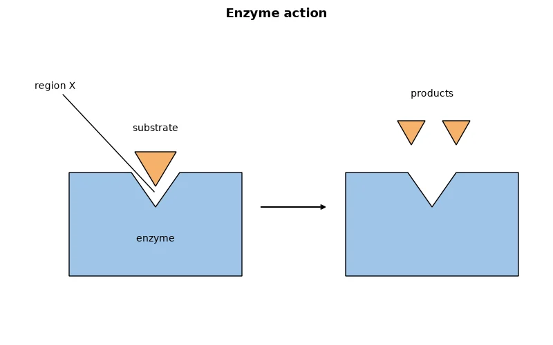 Dr Dabour Hub Academy - figure 1