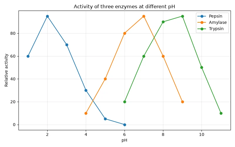 Dr Dabour Hub Academy - figure 1