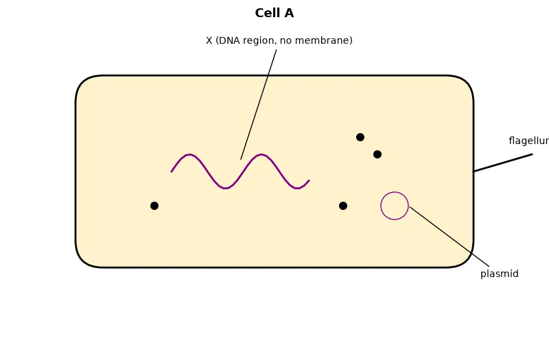 Dr Dabour Hub Academy - figure 2