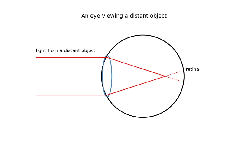 Dr Dabour Hub Academy - figure 7