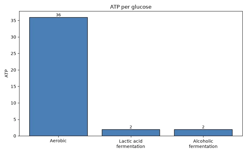 Dr Dabour Hub Academy - figure 1