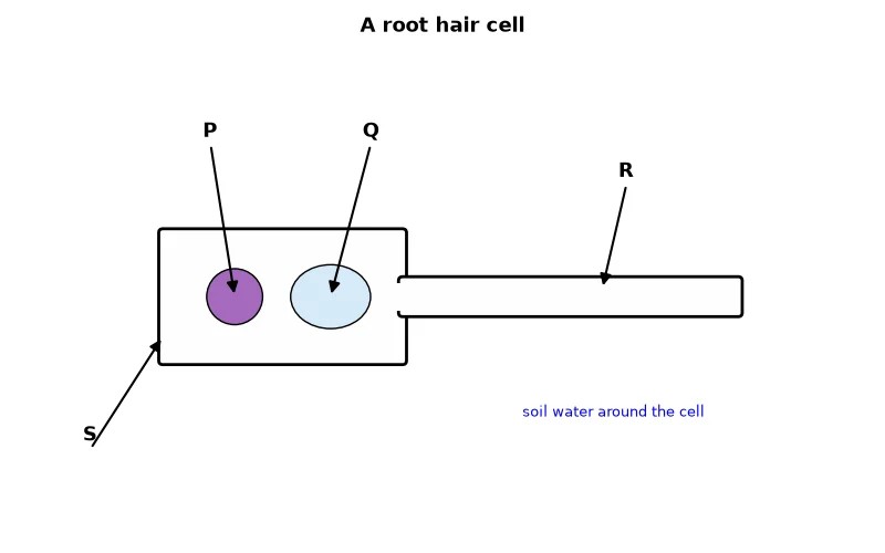 Dr Dabour Hub Academy - figure 2