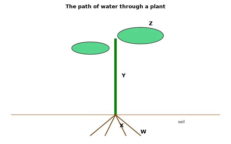 Dr Dabour Hub Academy - figure 14