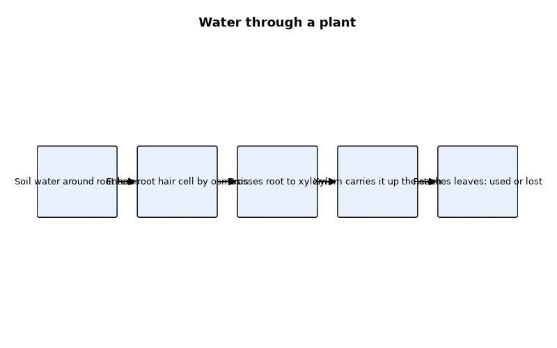 Dr Dabour Hub Academy - figure 17