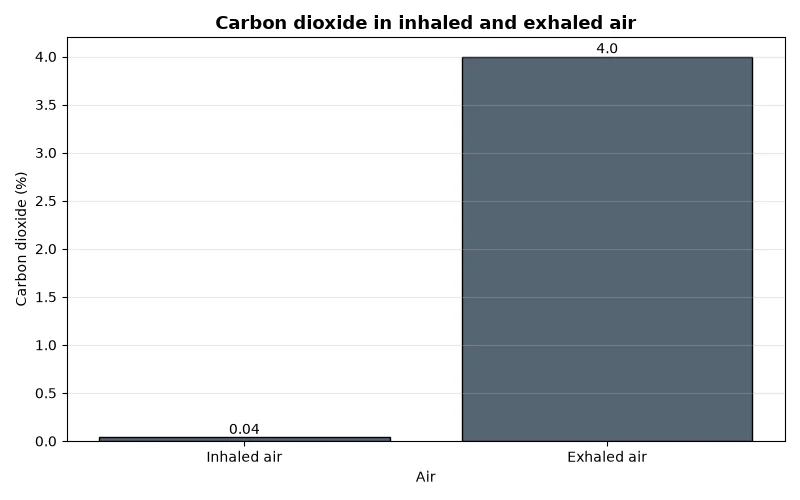 Dr Dabour Hub Academy - figure 13