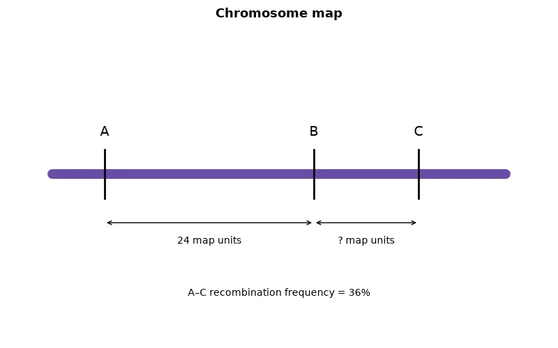 Dr Dabour Hub Academy - figure 1