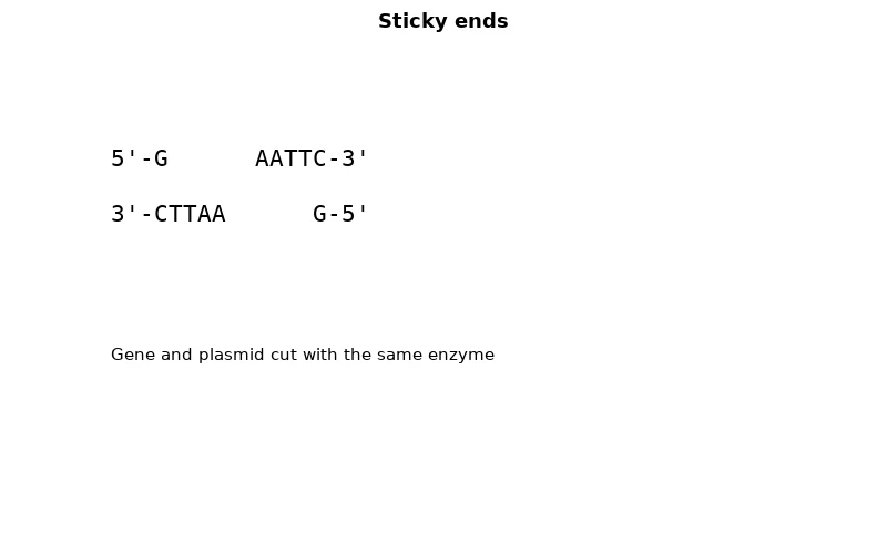 Dr Dabour Hub Academy - figure 1