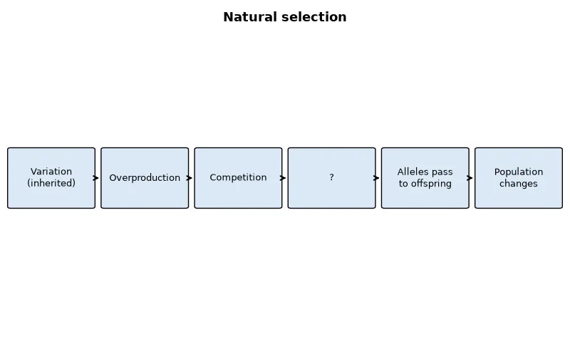 Dr Dabour Hub Academy - figure 1