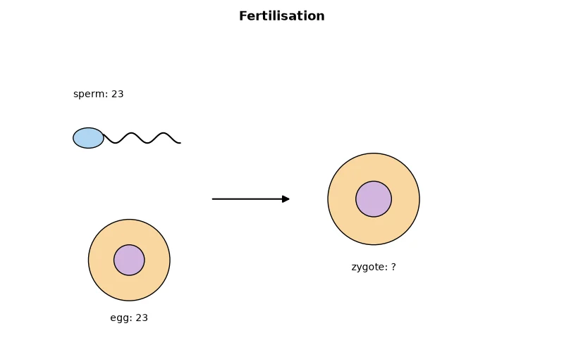 Dr Dabour Hub Academy - figure 1