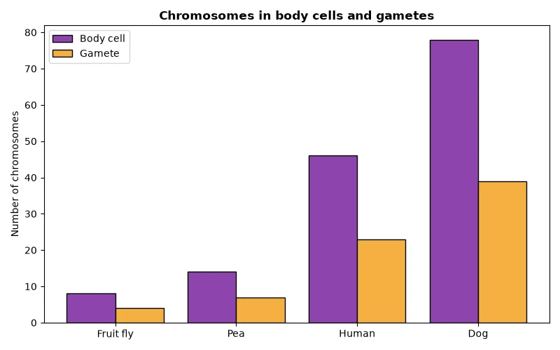 Dr Dabour Hub Academy - figure 5